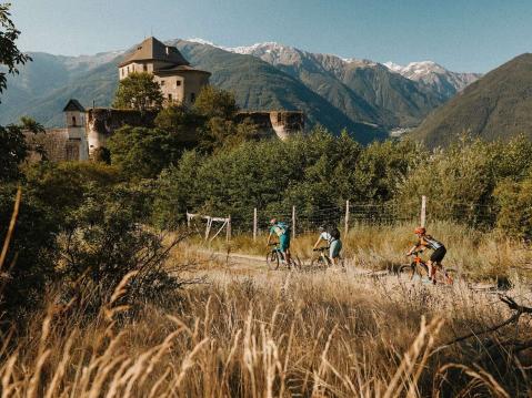 Bikeurlaub Vinschgau – Trails, Technik & Panorama