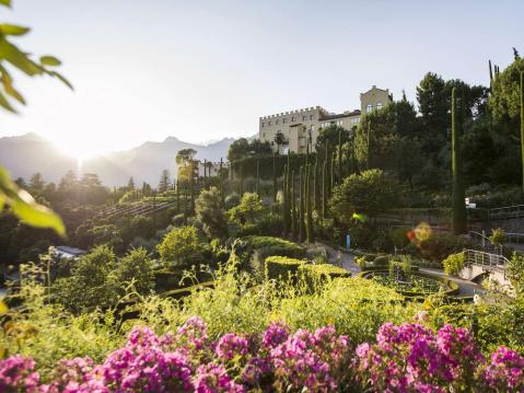 Dove il fascino mediterraneo incontra le Alpi. Dove il fascino mediterraneo incontra le Alpi.