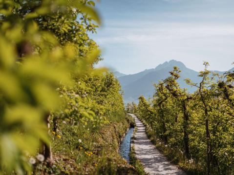 Vacanza trekking in Alto Adige – Dai sentieri delle rogge alle vette alpine Vacanza trekking in Alto Adige – Dai sentieri delle rogge alle vette alpine
