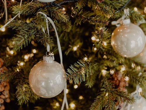 NEA Christmas Evening