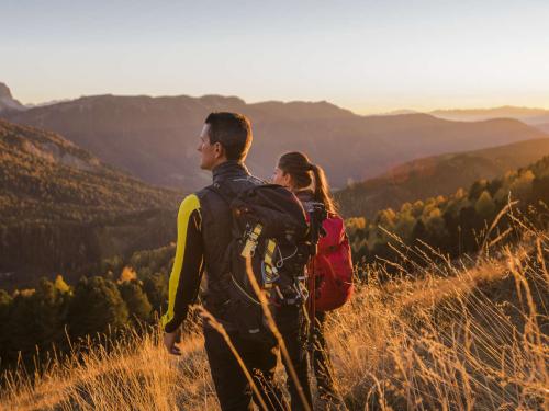 NEA November Glow -25%