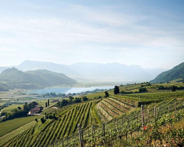 Scoprire l'Alto Adige – Tra città, natura ed esperienze indimenticabili Scoprire l'Alto Adige – Tra città, natura ed esperienze indimenticabili