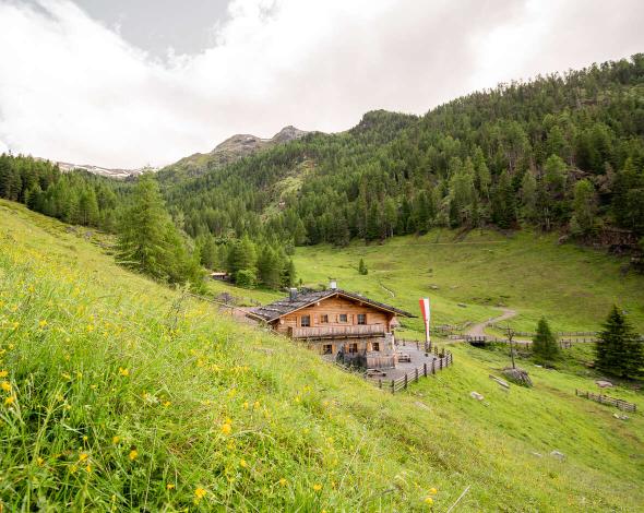 Vacanza trekking in Val Venosta – Escursioni nel cuore dell'Alto Adige Vacanza trekking in Val Venosta – Escursioni nel cuore dell'Alto Adige