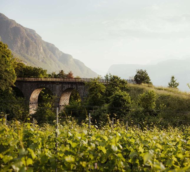 Scoprire l'Alto Adige – Tra città, natura ed esperienze indimenticabili Scoprire l'Alto Adige – Tra città, natura ed esperienze indimenticabili