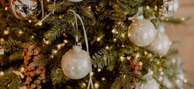 NEA Christmas Evening