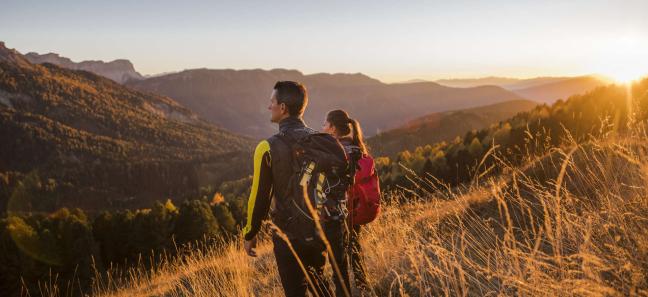 NEA November Glow -25%